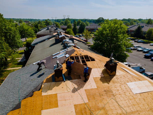 Roof Gutter Cleaning in Calverton, NY