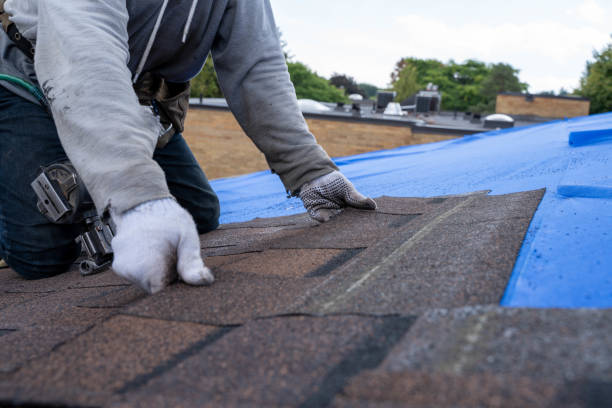 Roof Gutter Cleaning in Calverton, NY